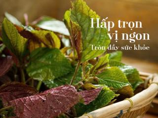 Lá Tía Tô – Hấp Dẫn Hương Vị, Tăng Sức Đề Kháng Mùa Cảm Cúm!