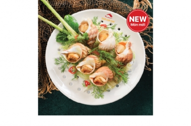 BULOT WHELK WITH HERBAL SAUCE