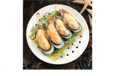 NEW ZEALAND GREEN-LIPPED MUSSEL