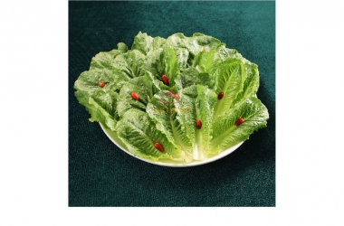 ROMAINE LETTUCE